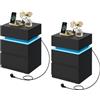 WOLTU Comodini Set di 2, con Stazione di Ricarica, Comodini a LED Connesso, 2 Prese, 2 Porte USB, 2 Cassetti, 1 Scomparto con Sportello, per Camera da Letto, 40 x 35 x 55 cm, Nero
