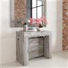 VE.CA.s.r.l. VE.CA - Tavolo Allungabile Kilika, Made in Italy - Console Allungabile con Porta Prolunghe fino a 3 Metri, 14 Posti - Moderno da Sala da Pranzo, Salvaspazio 90x40x77 Pino Grigio Jackson 14 Posti