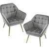 chairus Set di 2 Poltrone da Salotto in Velluto Poltrona Imbottita con Braccioli Poltroncina Moderna con Gambe in Metallo Poltrona Relax per Soggiorno/Camera da Letto, Grigio