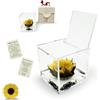 La Rosa dei Sogni Girasole stabilizzato in Cubo Trasparente - Confezione Regalo Elegante - Durata 5-7 Anni - Made in Italy (6x6 cm)