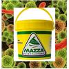 MAZZA Anticondensa Pittura agli Ioni d'Argento Antibatterica Certificata ISO22196/2011 Bianca Linea Sanit Paint Colorificio (14 Litri, Bianco)