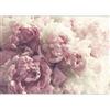 murando - Carta da parati Moderna Floreale Fiori 400x280 cm Fotomurali in TNT - Decorazione da Muro XXL Poster Gigante Design Carte da Parati Moderne Soggiorno - Natura Peonia rosa b-B-0616-a-a