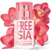 Solinotes Fragranza donna SOLINOTES FRESIA - Eau De Parfum | Fragranza floreale e lenitiva - Regalo perfetto per lei, 15 ml