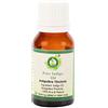 R V Essential Olio indaco | Indigofera Tinctoria | Per capelli | Per corpo | Per massaggio | Olio indaco puro | 100% naturale puro | Indigo Oil | 50ml | 1.69oz By R V Essential