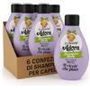 Generico Shampoo Lucidante per Capelli Ricci - Definizione, Morbidezza e Brillantezza - Confezione da 6 x 250 ml per Adorn Shampoo Glossy Il Riccio che Piace