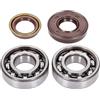 Naraku - Set di cuscinetti per albero motore SKF, FKM Premium C4, gabbia in metallo per Minarelli orizzontale, verticale, AC, LC (CW, MA, MY, CA, CY)