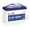 Timeusb Batteria al Litio 12V 100Ah Batteria LiFePO4, BMS 100A Incorporato, Fino a 15000 Cicli Profondi,1280Wh Perfetta per Fotovoltaico Camper Sistemi di casa Solare e Applicazioni