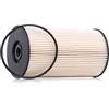 RIDEX 9F0007 Filtro carburante con guarnizione Compatibilità con VW Golf 6 5K1 Diesel
