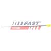 FAST Asta controllo livello olio FT80301