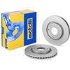 metelligroup 23-0555C Disco Freno Verniciato, Kit Composto da 2 Dischi Freno, Pezzo di Ricambio per Auto/Automobile, Certificato ECE R90