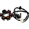 Teknix Stator di accensione per Scooter Peugeot 50 Speedfight 4 2T AC 2015-2018