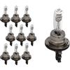CARALL 10 Pezzi Lampada Alogena 12V Per Auto (H15 12V 15/55W PGJ23t-1 64176)