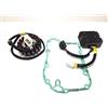AER MOTO SPARE PARTS KIT STATORE MAGNETE REGOLATORE E GUARNIZIONE PER SH 125 150 2005 2006 2007 2008 2009 2010 2011
