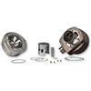 BRIXIAMOTO MALOSSI 3117676 Gruppo termico D 63 ghisa, compatibile con Vespa Cosa e PX
