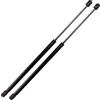 ATEC Germany 2x molla a gas portellone posteriore 310 N molla a gas ammortizzatore stivale Compatibile con FORD FIESTA Mk4 (JA_, JB_), MAZDA 121 Mk3 (JASM, JBSM)
