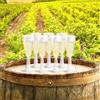 POLOPLAST 100 BIO BICCHIERI CALICI FLÛTE 100 cc h. 16 PLA TRASPARENTI rigido biodegradabili e compostabili UNI EN13432 smaltiti nel rifiuto umido - flute spumante champagne prosecco