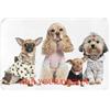 LMQJDZ Tappeto Personalizzato/Tappeto Personalizzato con foto e testo Tappetino da Bagno Antiscivolo Lavabile a Pavimento per Casa, Giardino, Ingresso Ufficio.60x90cm