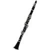 DVCSDE Buffet Clarinetto 17 Tasti Sib Clarinetto Professionale Tubo Nero Con Scatola Guanti Ancia Clip Accessori Per Clarinetto(Set 12)