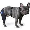 LufeLux Ginocchiera per cani con imbracatura e cintura di collegamento, leggera ed elastica, supporto per gamba posteriore ACL strappata, rotula, riduce il dolore artrite e l'infiammazione (XS)
