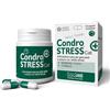 Innovet Condrostress (+) Cat Supplemento Articolare - Articolazioni Sane per Gatti Adulti e Anziani con Ridotta Attività - con Membrana d'Uovo e Vitamina E - 30 cps