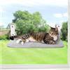 GUUSII HOME Amaca per Gatti da Finestra Amaca Gatto Trespolo da Appendere con Potenti Ventose Letto Facile da Montare Tappetino Reversibile Stabile Mensole Cuccia 52 * 30cm Fino a 25kg da Interno