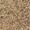 Il Contadino - Antichi Becchimi | MISCUGLIO per CANARINI EXTRA | Formula ricca di semi Selezionati adatta per tutto l'anno, No OGM, 100% Vegetale, Assenza di scarti. Qualità Superiore (20 Kg)