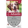 Advantix Pipette antiparassitarie ADVANTIX 6 - Per cani di media taglia da 10 a 25 kg