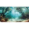 Didooou Sfondo naturale per acquario, adesivi per acquario boutique, 30 cm, 40 cm, 50 cm, 60 cm, 80 cm (oceano-4, 40 * 25 cm)