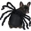 CAISANG Costume da ragno per Halloween, gigante, simulazione di ragno, abbigliamento per gatti e cani di piccola e media taglia, per feste di Halloween, festival, cosplay, taglia M
