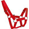 Dinikally Personalizzato Nome Ricamato Cavallo Cavallo Cavezza Regolabile Cavezza Cavallo Con Ogni Testo Per Cavallo (Rosso)