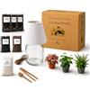 I Giardini di Giulia | Kit Terrarium Lamparium Piccolo e Piante Verdi | Vaso in Vetro Ø22 cm con Paralume Incluso | Include Substrati, Accessori e Terrario Fai-da-Te