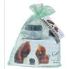 Eye Envy STARTER KIT smacchiatore occhi cane (3 pezzi)