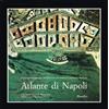MARSILIO Atlante di Napoli. La forma del centro storico in scala 1:2000 nel fotopiano e nella carta numerica