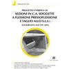 FLACCOVIO DARIO Progetto e verifica di sezioni in c.a. soggette a flessione pressoflessione e taglio allo S.L.U. Aggiornato alle NTC 2018