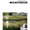 Corponove Green Island le api, l'arte, la città alveari urbani