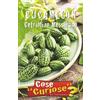 Italsementi CUCAMELON Cetriolino Messicano (Melothria scabra) - SEMI