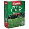 Blumen - Prato Fiorito Con Margherite 500 Gr