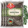 ORAGARDEN Monstera Terra per piante d'appartamento e giardino - 9L Monstera Substrato per piante, palme, fiori - 5 componenti terriccio