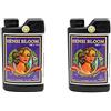 Advanced Nutrients PH Perfect Sensi Bloom Parte A+B Modifiche del Suolo, 1 L