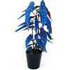 POWERS TO FLOWERS - BEGONIA MACULATA COLOR LIFE BLU, pianta vera