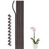 Generic 10 pali di supporto per piante con 10 clip per orchidee a stelo singolo, pali da giardino per piante rampicanti, 50 cm