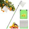 Clyfanesy 4M Raccogli Frutta Telescopico, Raccogli Cachi in Acciaio Inox e Borsa in Cotone, Regolabile Raccoglitore Mele con Manico Telescopico Lungo, Raccogli Frutta da Albero per Limoni Mele Pere Arance
