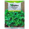 Papillon Bustina Di Semi Per Erba Aromatica Prezzemolo Aromatico semina tutto l'anno