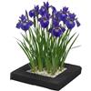 vdvelde.com vdvelde - Isola Galleggiante per Laghetto con Iris Blu - Set Piante Acquatiche con 4x Iris kaempferi - Set Completo con Cestello, Substrato & Fertilizzante - Isola Galleggiante