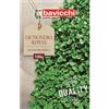 Bavicchi semi prato dichondra repens (500g)
