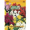 Sementi Dotto Semi di Bocca di Leone Nana in Mix - h cm 20