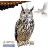 Generic Hawk Bird Spaventapasseri - PP 60 cm2D Gufo Spaventapasseri Ciondolo | Ciondolo decorativo spaventapasseri con campana, dispositivo spaventapasseri per uccelli finti | realistico gufo finto