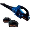 Generico Soffiatore a Batteria, 6 Velocità Soffiatore Elettrico Portatile Senza Filo, Motore Brushless, 2 batterie Velocita Aria 160 MHP 30.000 RPM, Giardino Foglie