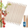KOTARBAU® 25 Pezzi Pali in Legno - 80 cm - Pali per Pomodori - Legno di Faggio - Naturale - Tutore per Piante - Bastoni per Pomodori - Stecche per Piante - Robusti