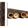 bambus-discount.com 1 tubo di bambù da 200 cm, colore nero/marrone, diametro da 5 a 6 cm, spessore asta in bambù: 2 m di lunghezza, trattato con sale di boro
